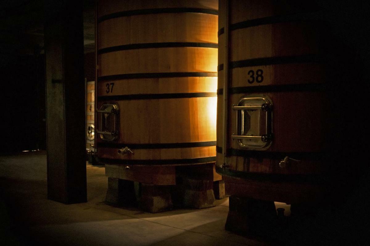 Hotel Vinicola Real-200 Monges Albelda De Iregua Eksteriør billede