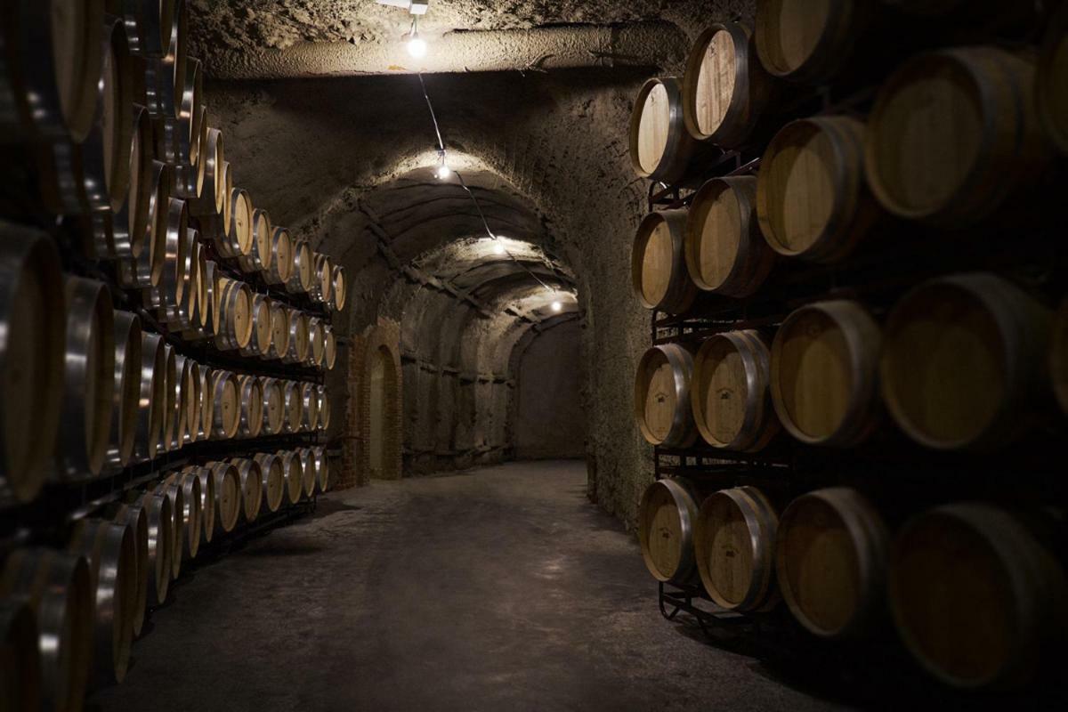 Hotel Vinicola Real-200 Monges Albelda De Iregua Eksteriør billede
